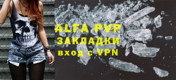 амф Коряжма