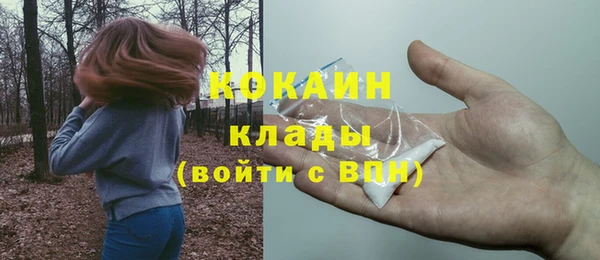 амф Коряжма