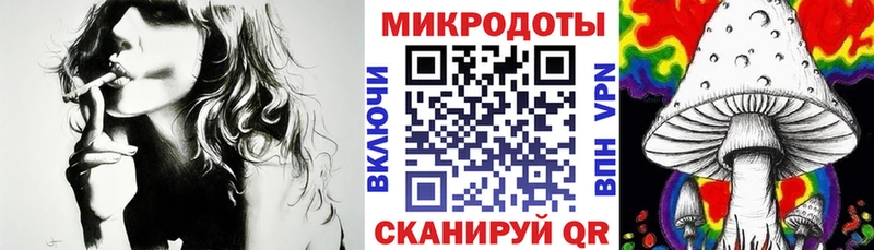 Псилоцибиновые грибы Cubensis  Кирсанов 
